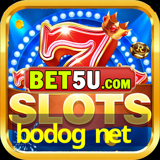 bodog net