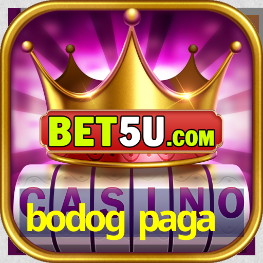 bodog paga