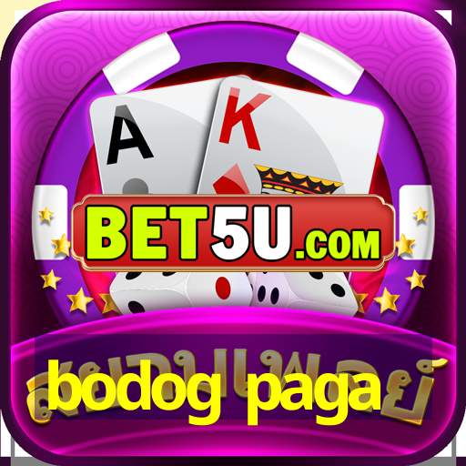 bodog paga