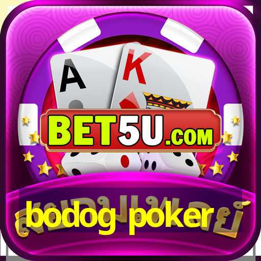 bodog poker