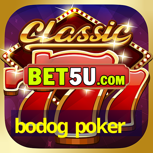 bodog poker