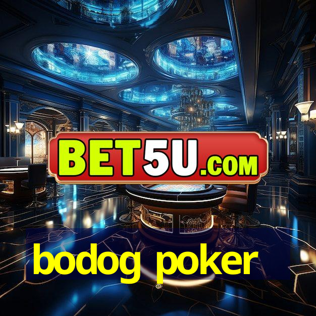 bodog poker