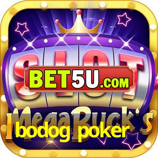 bodog poker