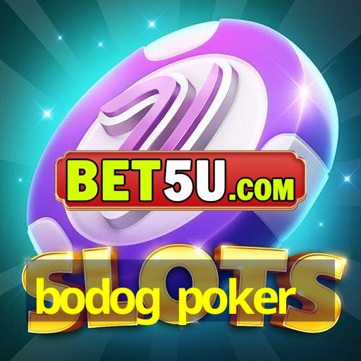 bodog poker