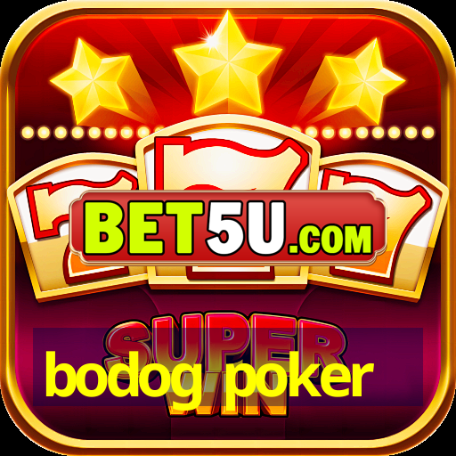 bodog poker