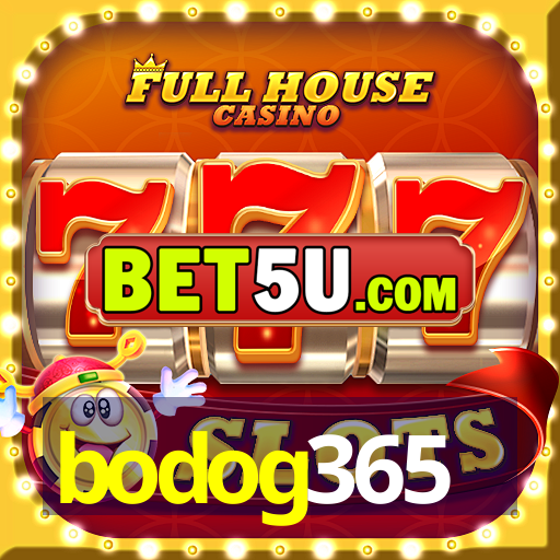 bodog365