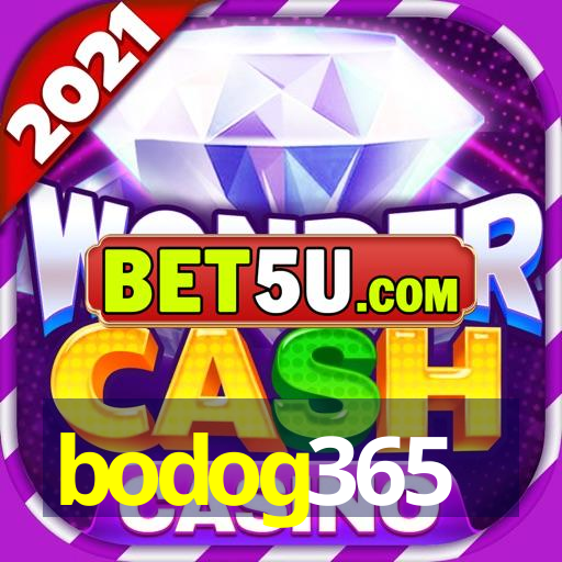 bodog365