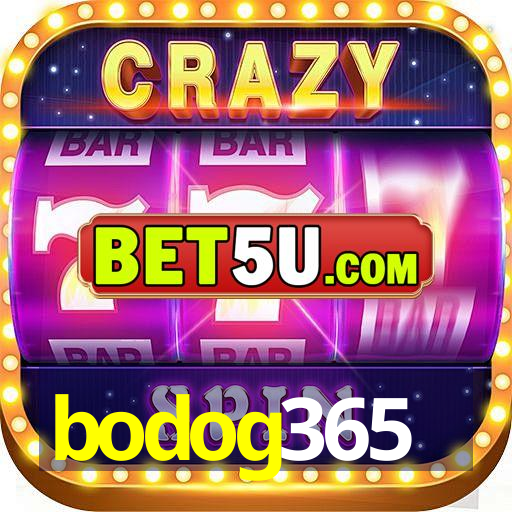 bodog365