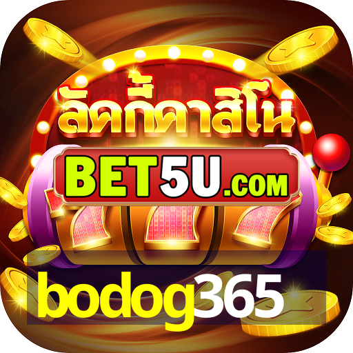 bodog365