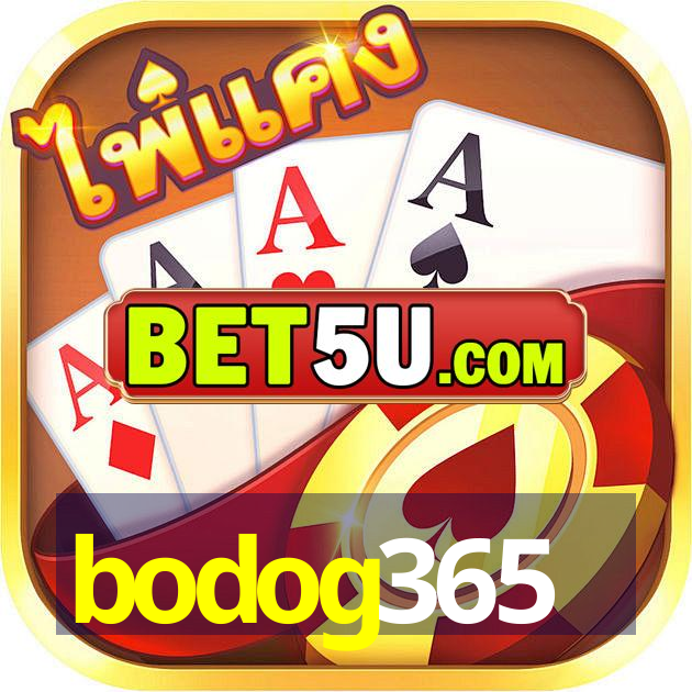 bodog365