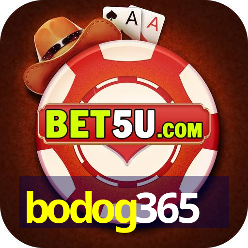 bodog365