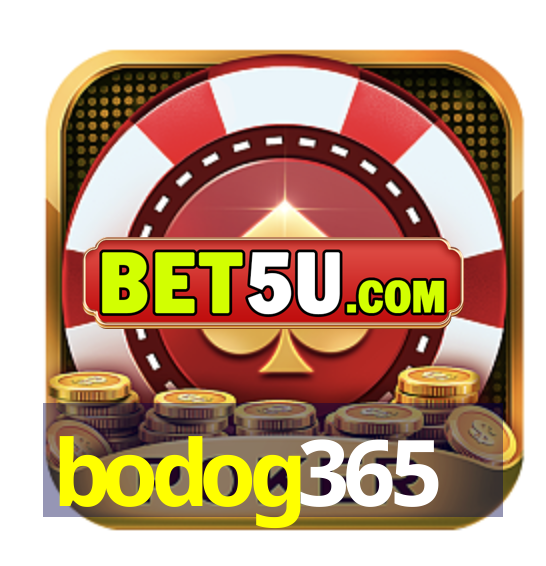 bodog365