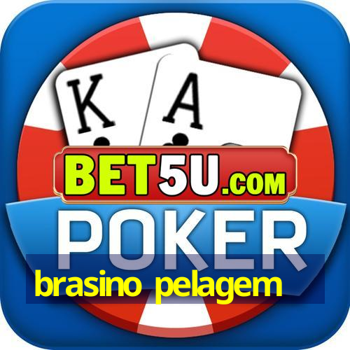 brasino pelagem