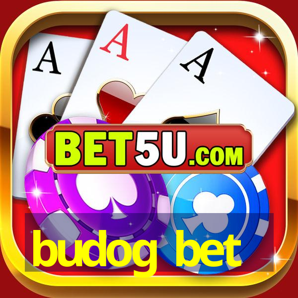 budog bet