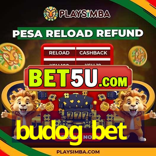 budog bet