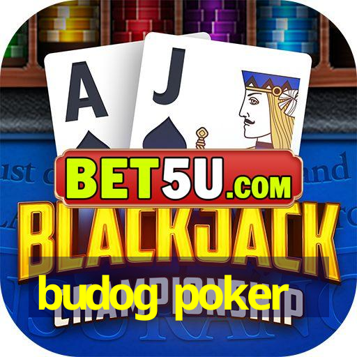 budog poker