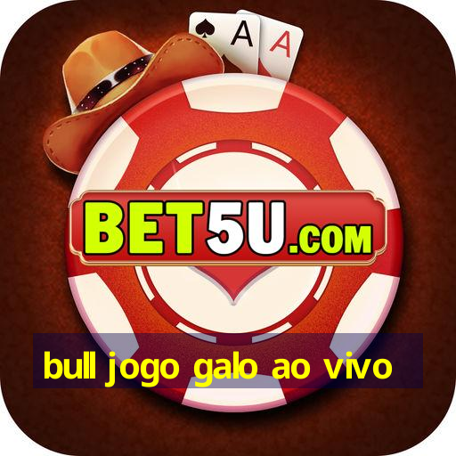 bull jogo galo ao vivo