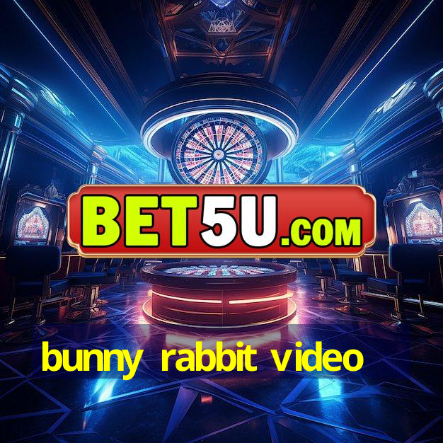 bunny rabbit video