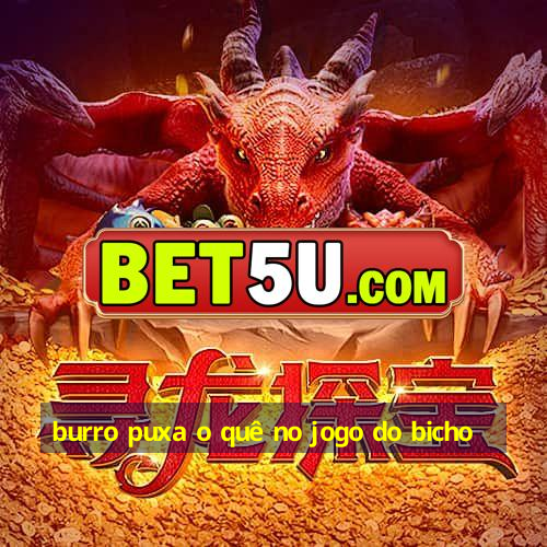 burro puxa o quê no jogo do bicho