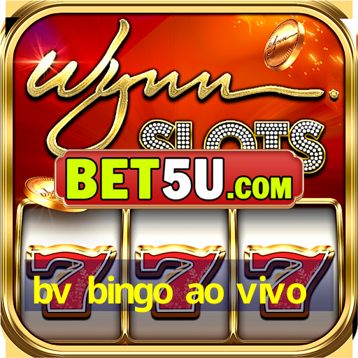 bv bingo ao vivo