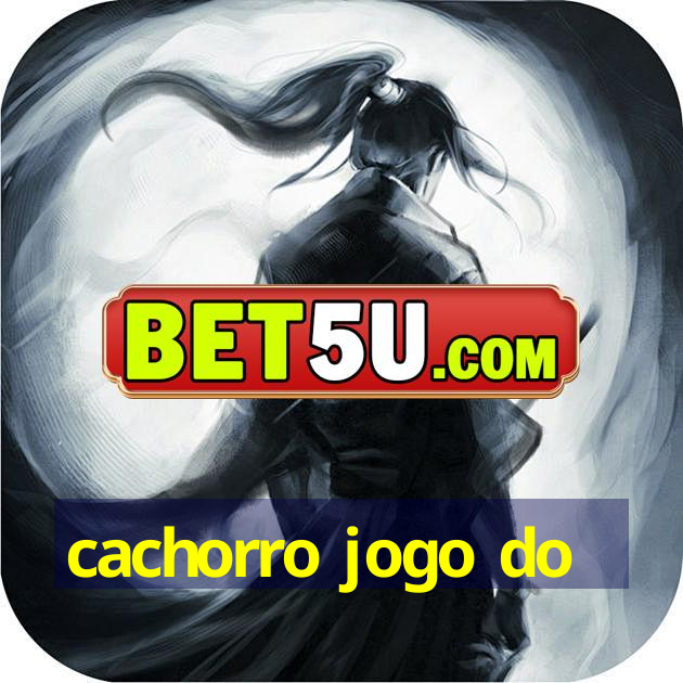 cachorro jogo do