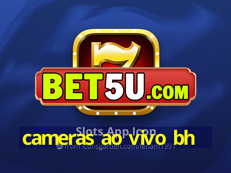 cameras ao vivo bh