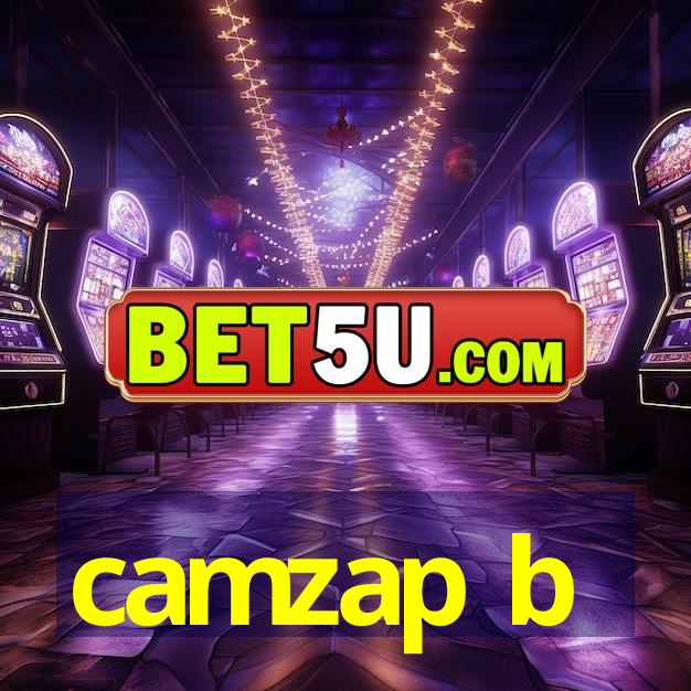 camzap b