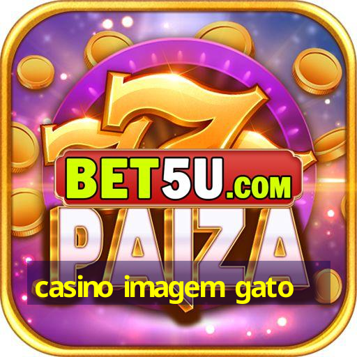 casino imagem gato