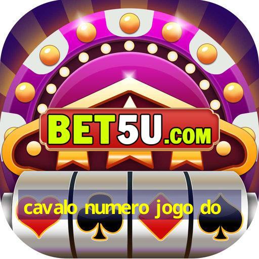 cavalo numero jogo do