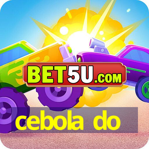 cebola do