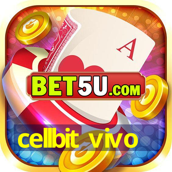 cellbit vivo