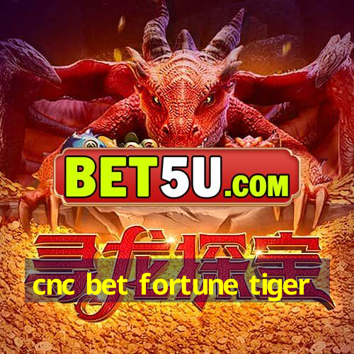 cnc bet fortune tiger