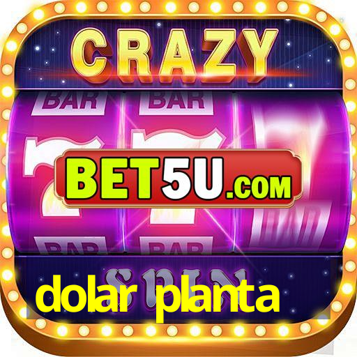 dolar planta