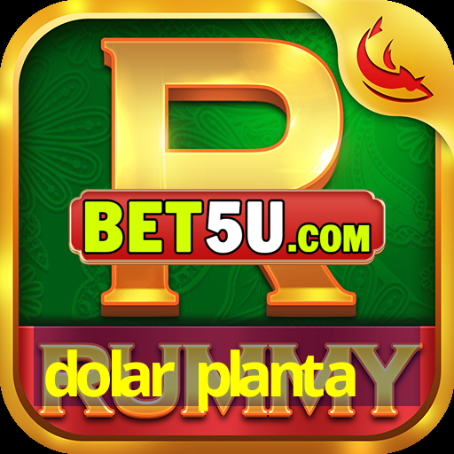 dolar planta