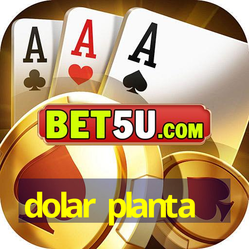 dolar planta