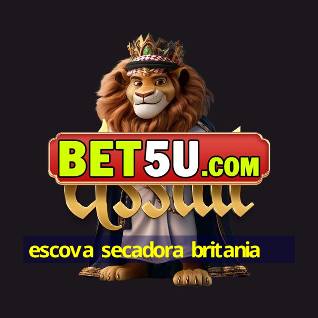 escova secadora britania