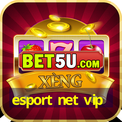 esport net vip