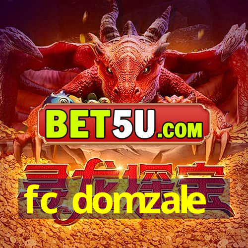 fc domzale