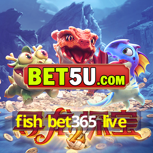 fish bet365 live