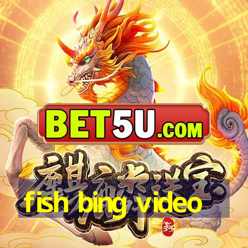 fish bing video