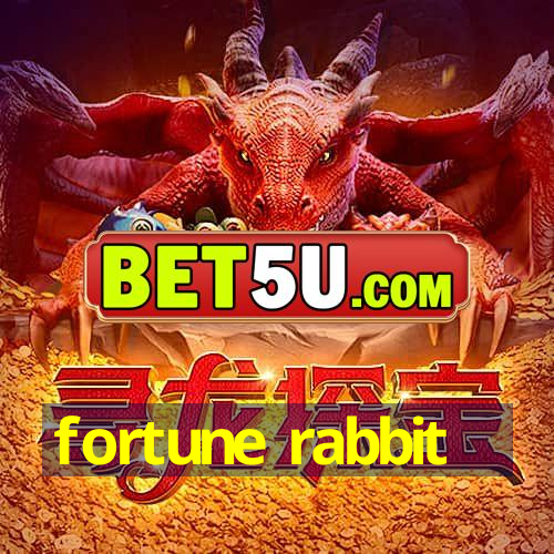 fortune rabbit