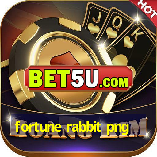 fortune rabbit png