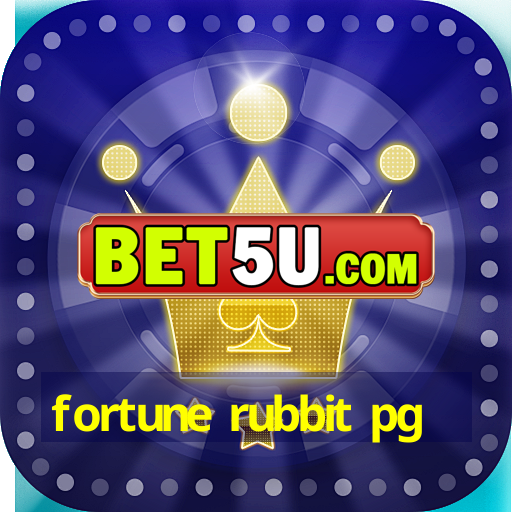 fortune rubbit pg