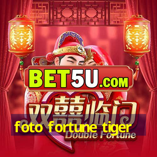 foto fortune tiger