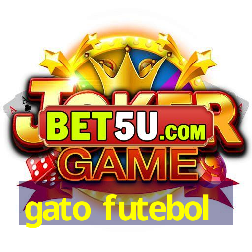 gato futebol