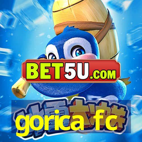 gorica fc