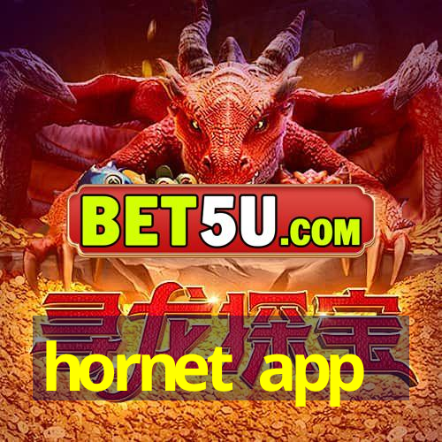 hornet app