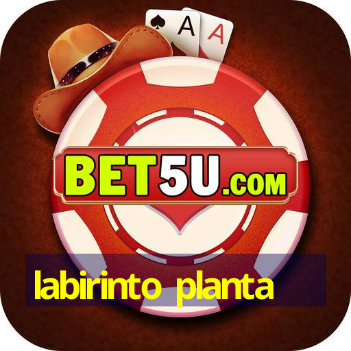 labirinto planta