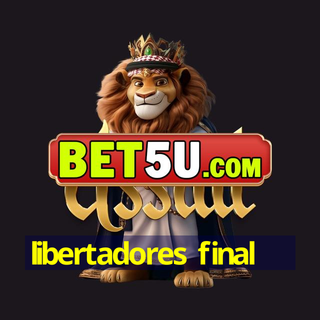 libertadores final