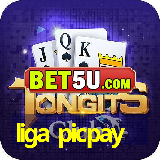 liga picpay